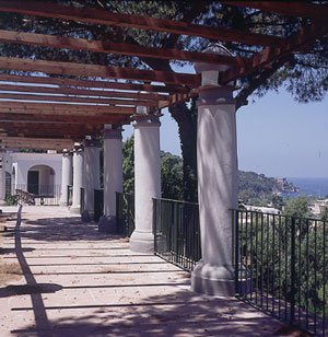 Villa Arbusto